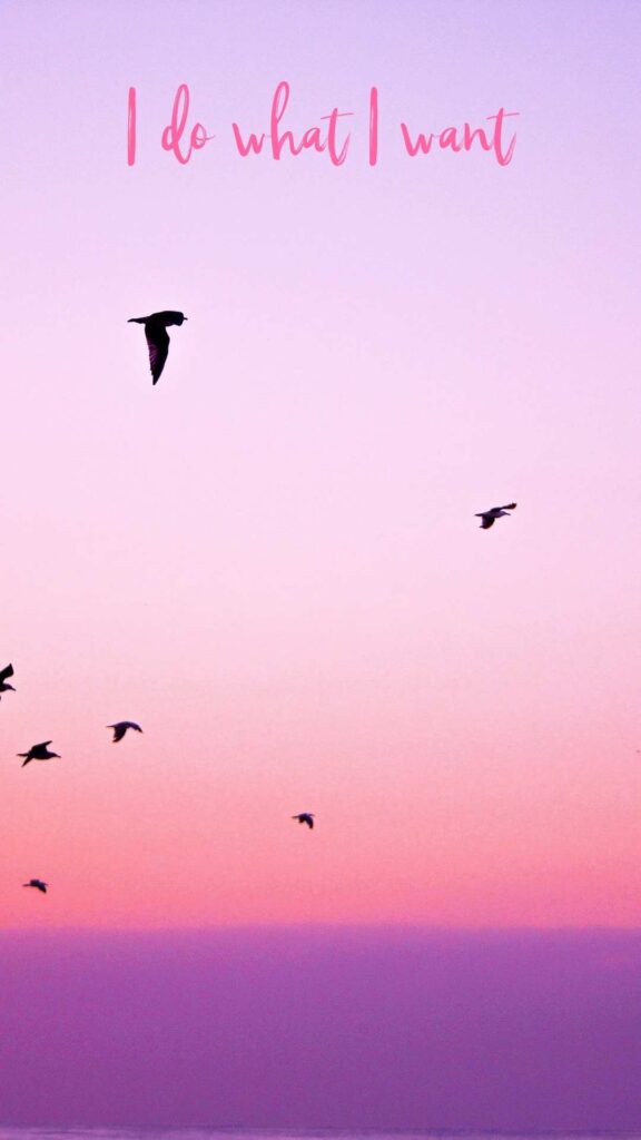 35 Pink Aesthetic Wallpapers with Quotes and Collages